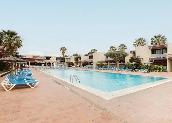 Descubre Tu Perfecta En La