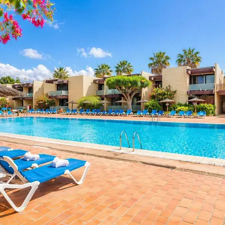 Apartmán Descubre Tu Perfecta En La Costa Del Silencio